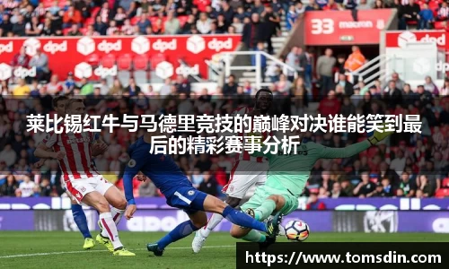莱比锡红牛与马德里竞技的巅峰对决谁能笑到最后的精彩赛事分析